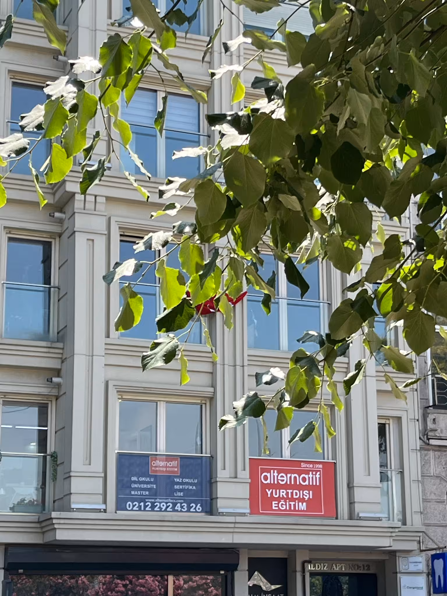Alternatif Yurtdışı Eğitim Danışmanlığı - görsel 1