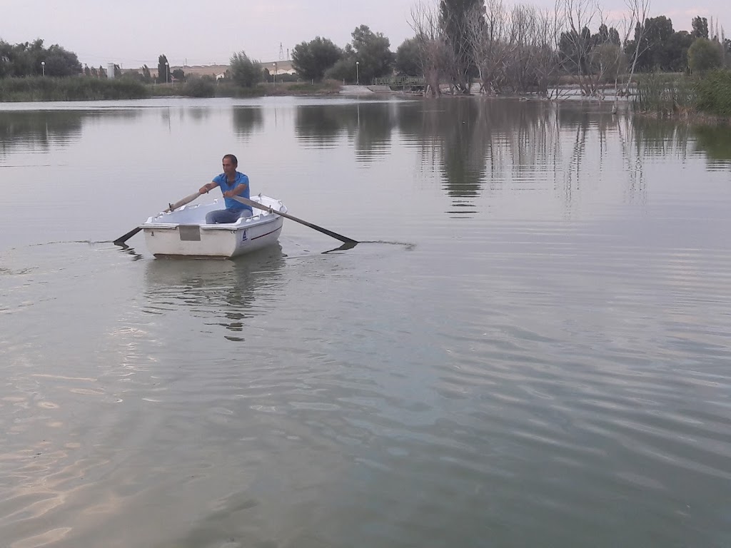Ereğli Belediyesi Yüzme Havuzu