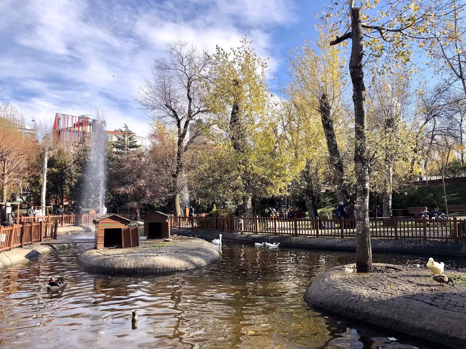 Kuğulu Park - görsel 1
