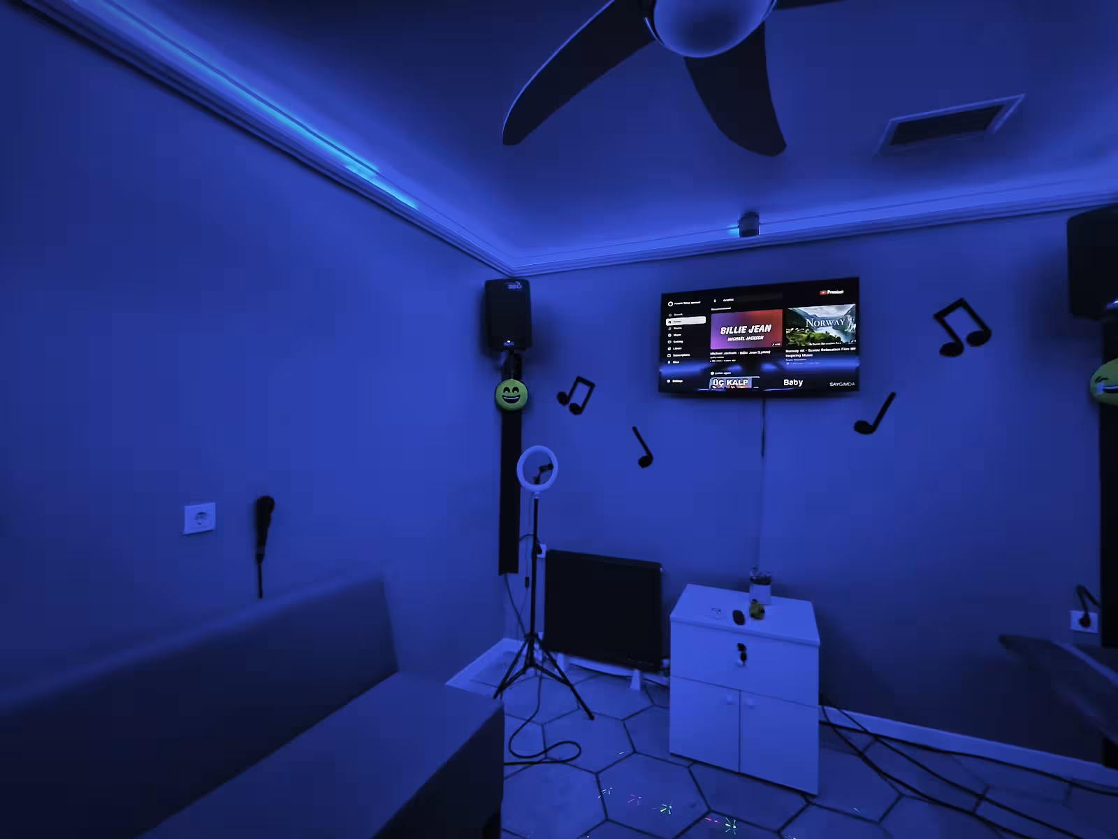 Fonem Stüdyo/Karaoke - görsel 5