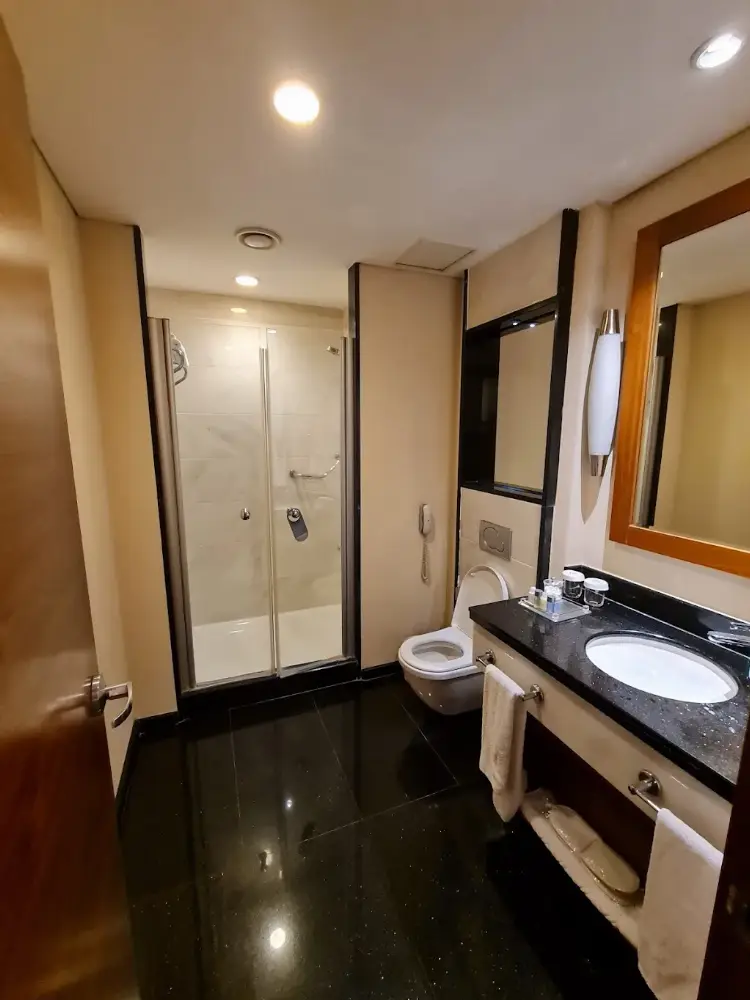 Dedeman Konya Hotel & Convention Center — Yüzme Havuzları, Selçuklu · fotoğraf 4