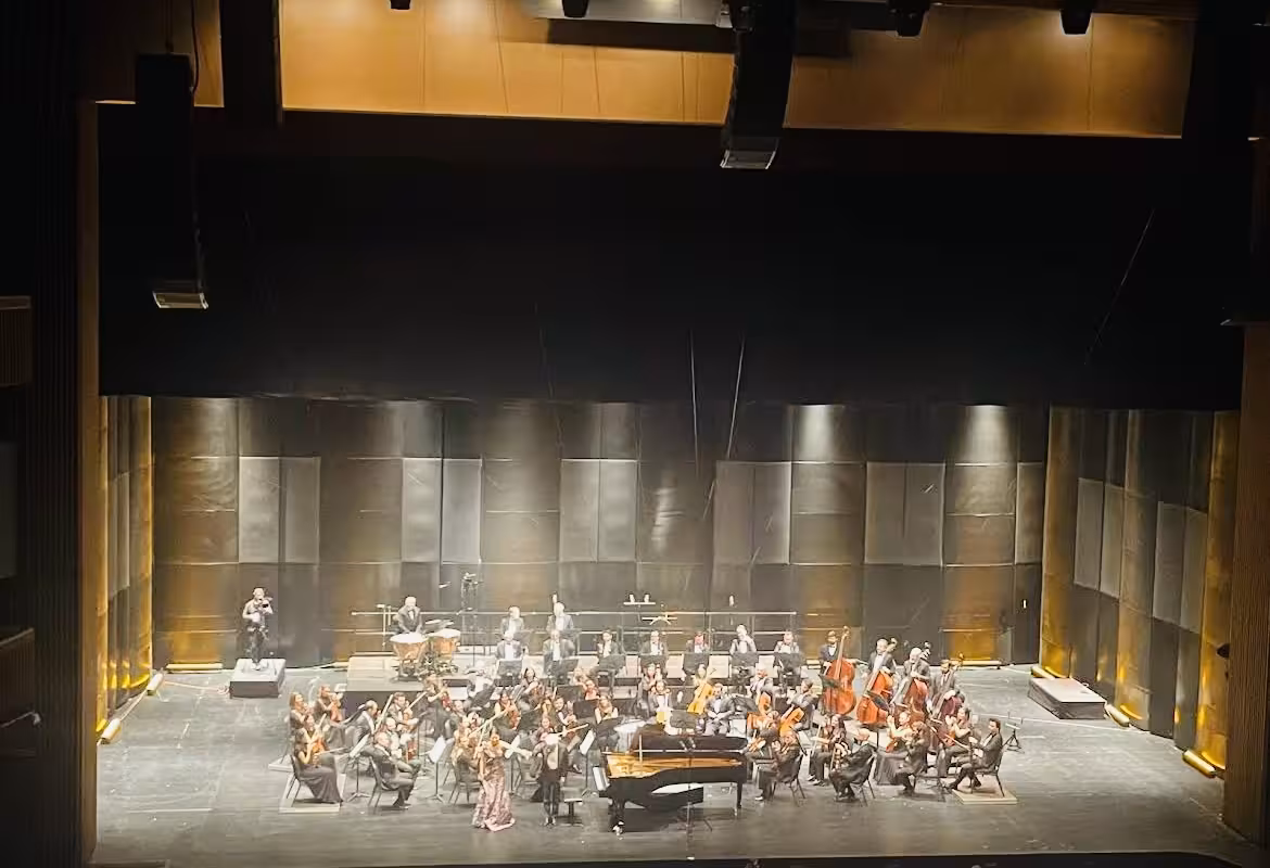 Zorlu Performans Sanatları Merkezi — Konserler, Beşiktaş · fotoğraf 3