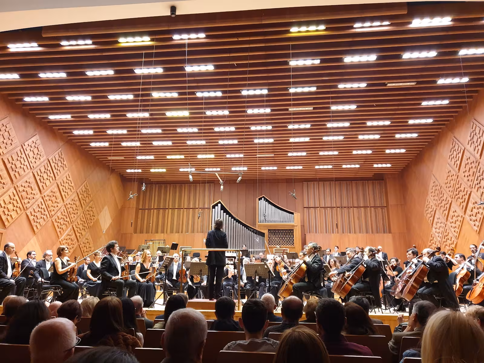 CSO Ada Ankara - görsel 3