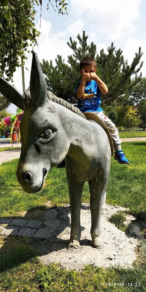 İncesu Belediyesi Yarı Olimpik Yüzme Havuzu — Yüzme Havuzları, İncesu · fotoğraf 2