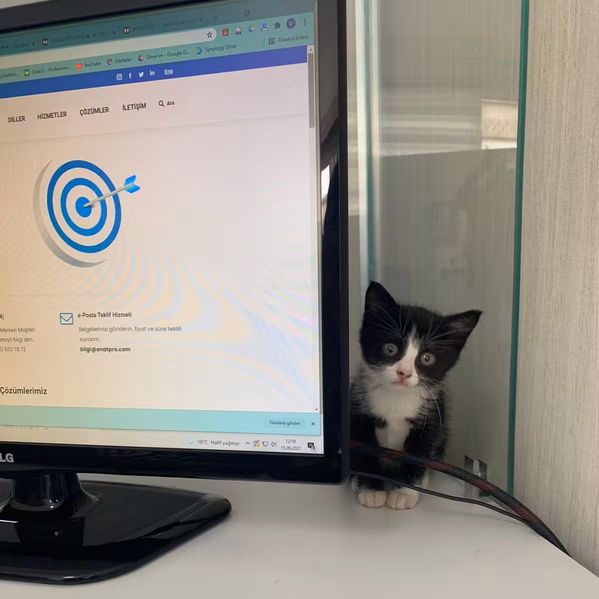 ONAT Ankara Tercüme Bürosu - görsel 2