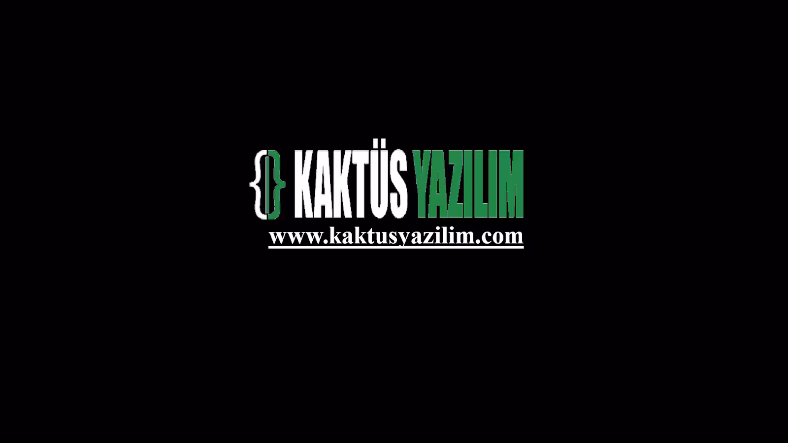 Kaktüs Yazılım - görsel 5