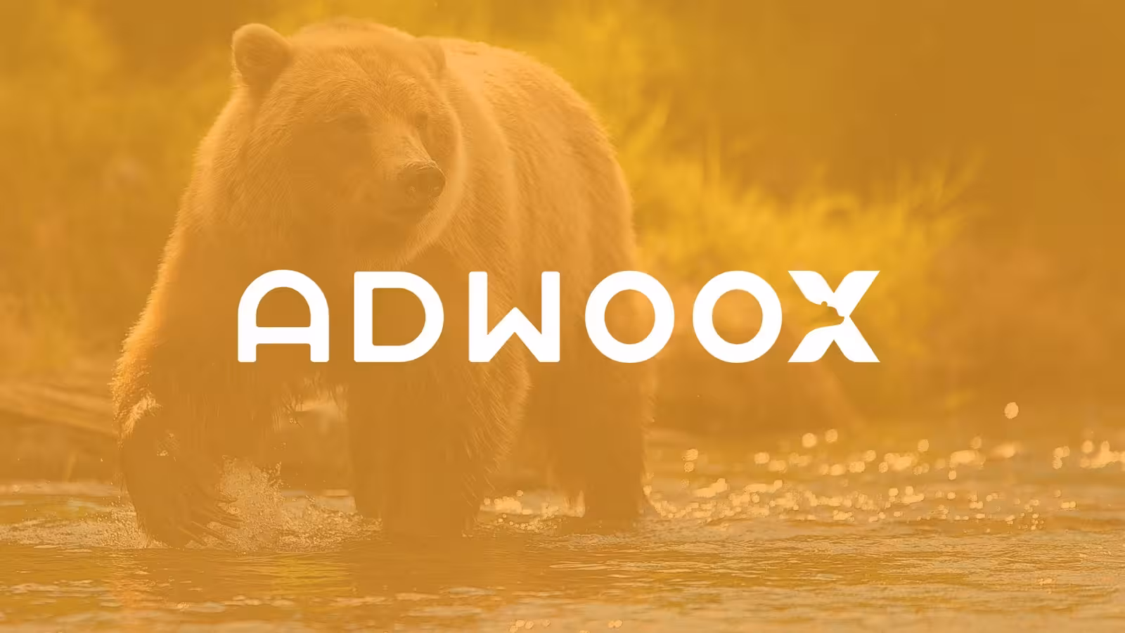 Adwoox Ankara Web Tasarım & Ankara SEO Ajansı - görsel 5