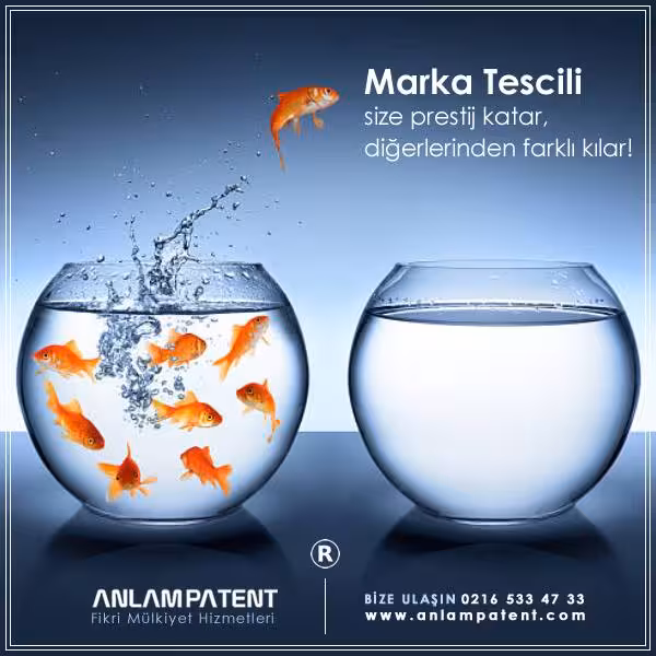 Anlam Patent ve Marka Tescili - görsel 5