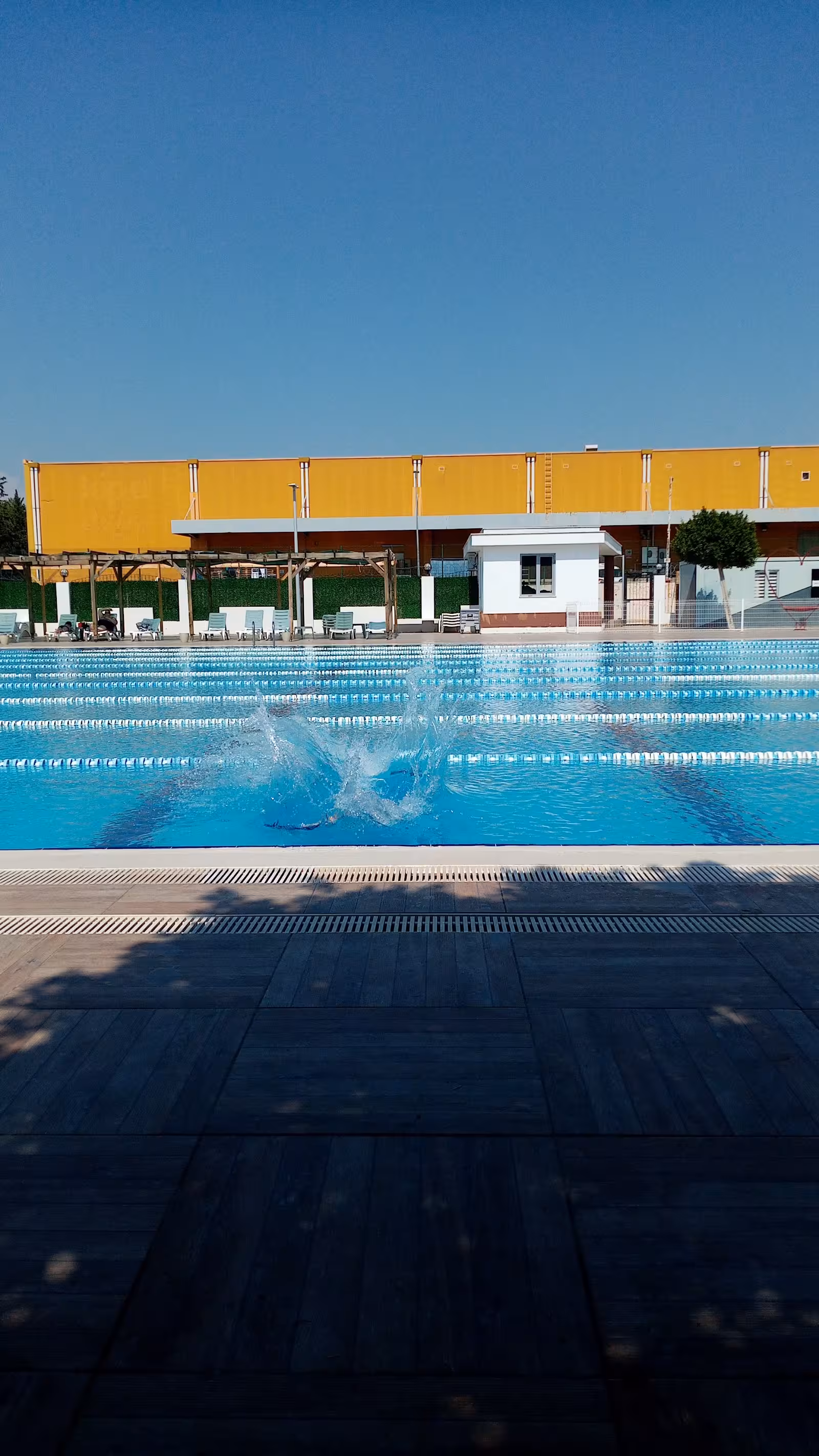 Aris Olimpik Yüzme Havuzu ve Sosyal Tesisleri - Yüzme Kursu — Yüzme Havuzları, Kepez · fotoğraf 3