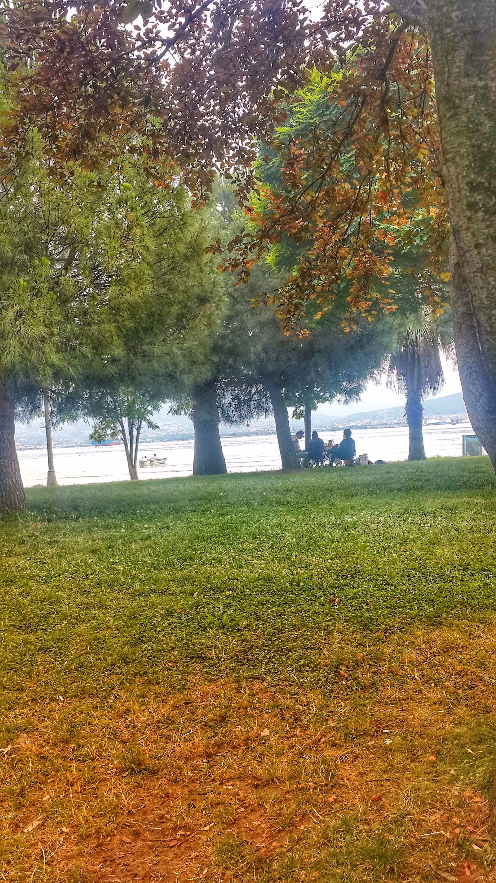 Kocaeli Büyükşehir Belediyesi Plaj Yolu Sahili — Yüzme Havuzları, İzmit · fotoğraf 5