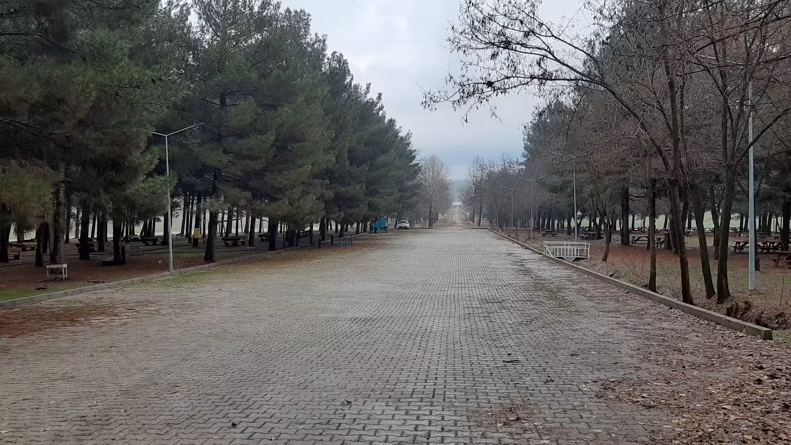 Havuz — Yüzme Havuzları · fotoğraf 5