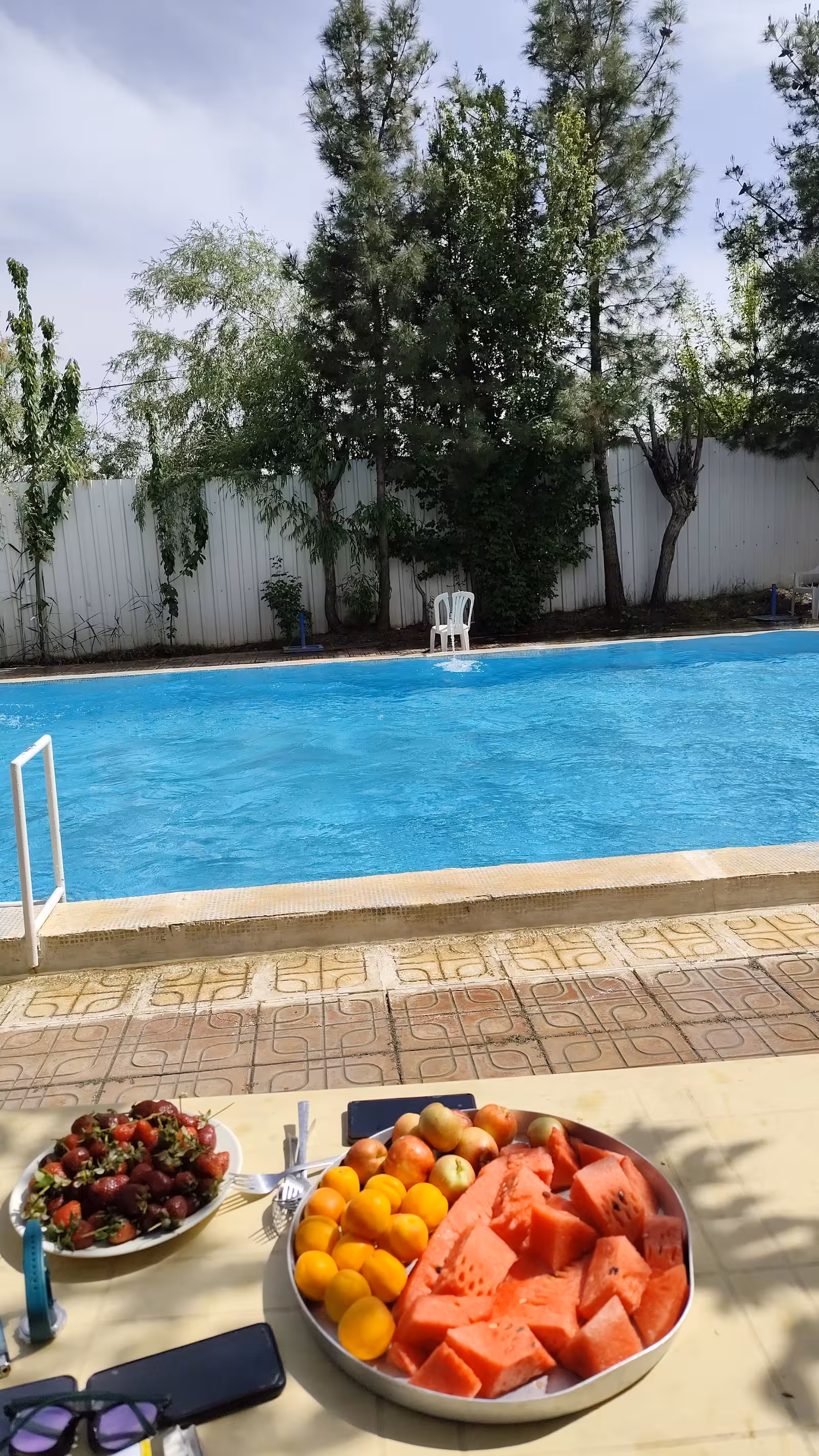 Memişoğlu Yüzme Havuzu ve Dinlenme Tesisleri — Yüzme Havuzları, Sur · fotoğraf 4