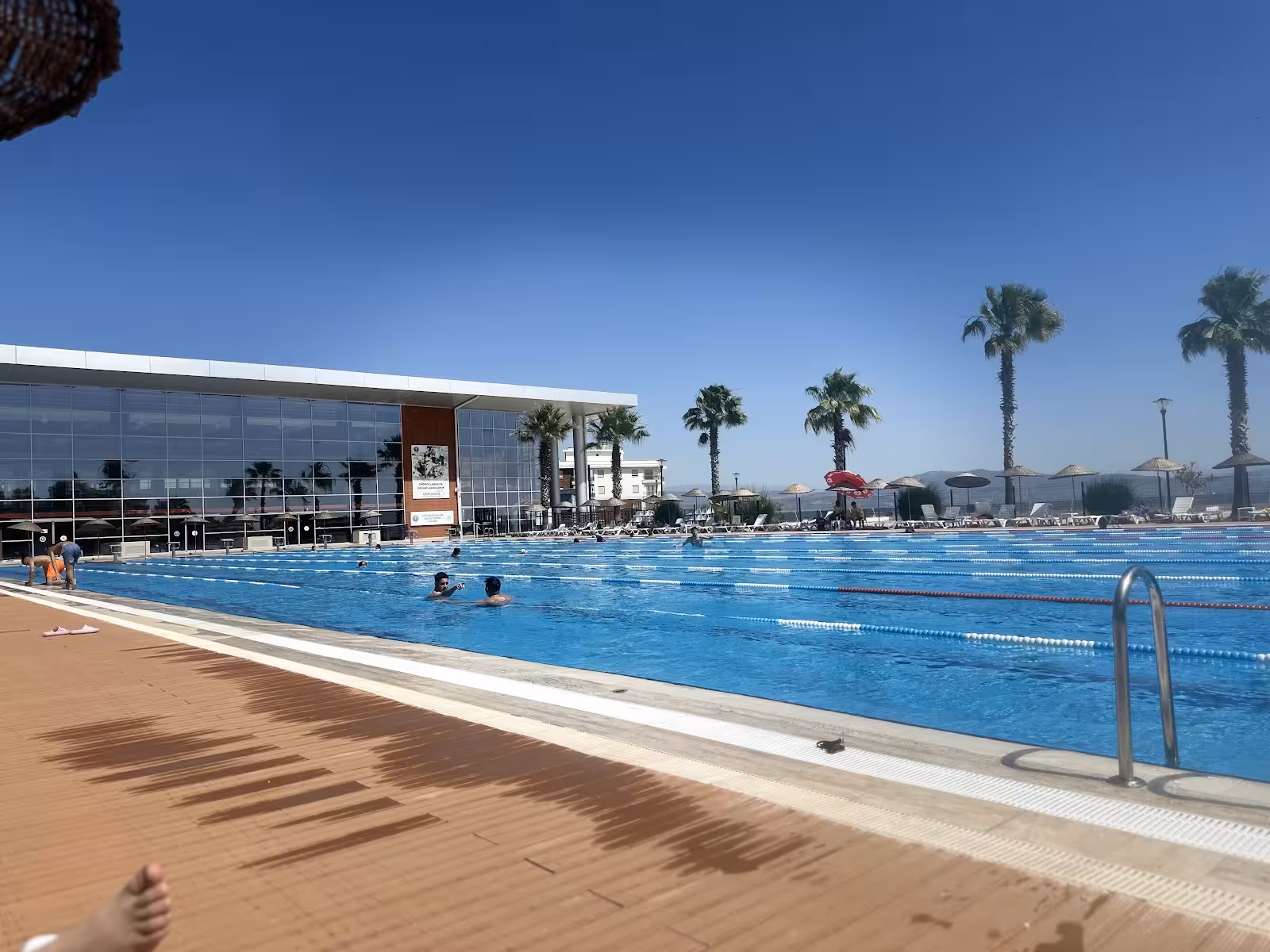 ATATÜRK SPOR KOMPLEKSİ — Yüzme Havuzları, Efeler · fotoğraf 2