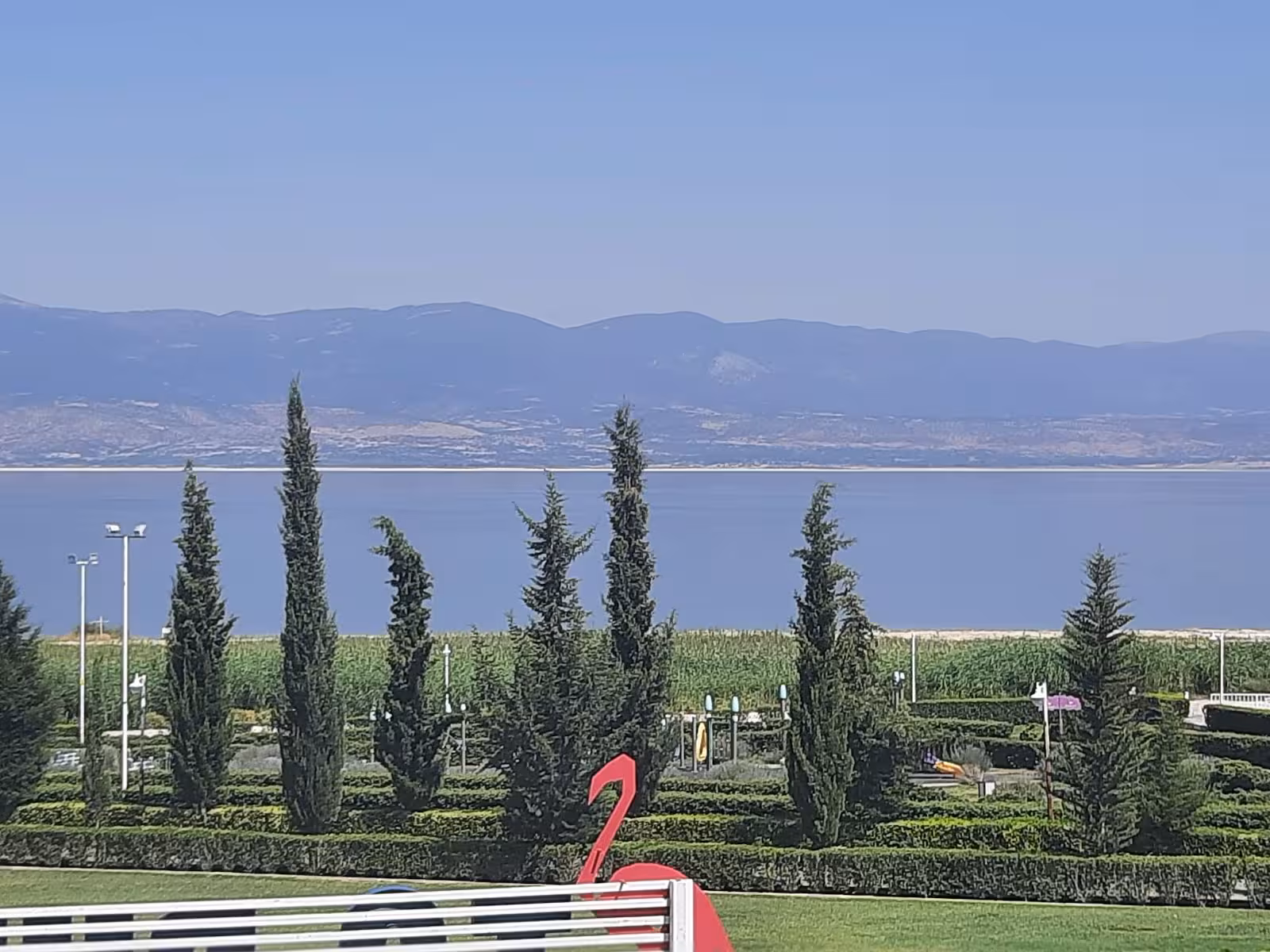 Vali Necati Develioğlu Olimpik Yüzme Havuzu — Yüzme Havuzları, Merkez · fotoğraf 5