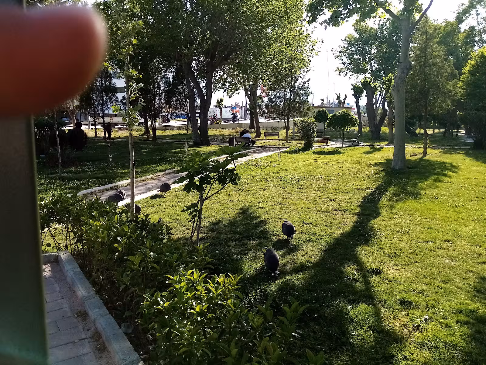 Dokuzkavaklar, Anafartalar kapalı yüzme havuzu — Yüzme Havuzları · fotoğraf 4