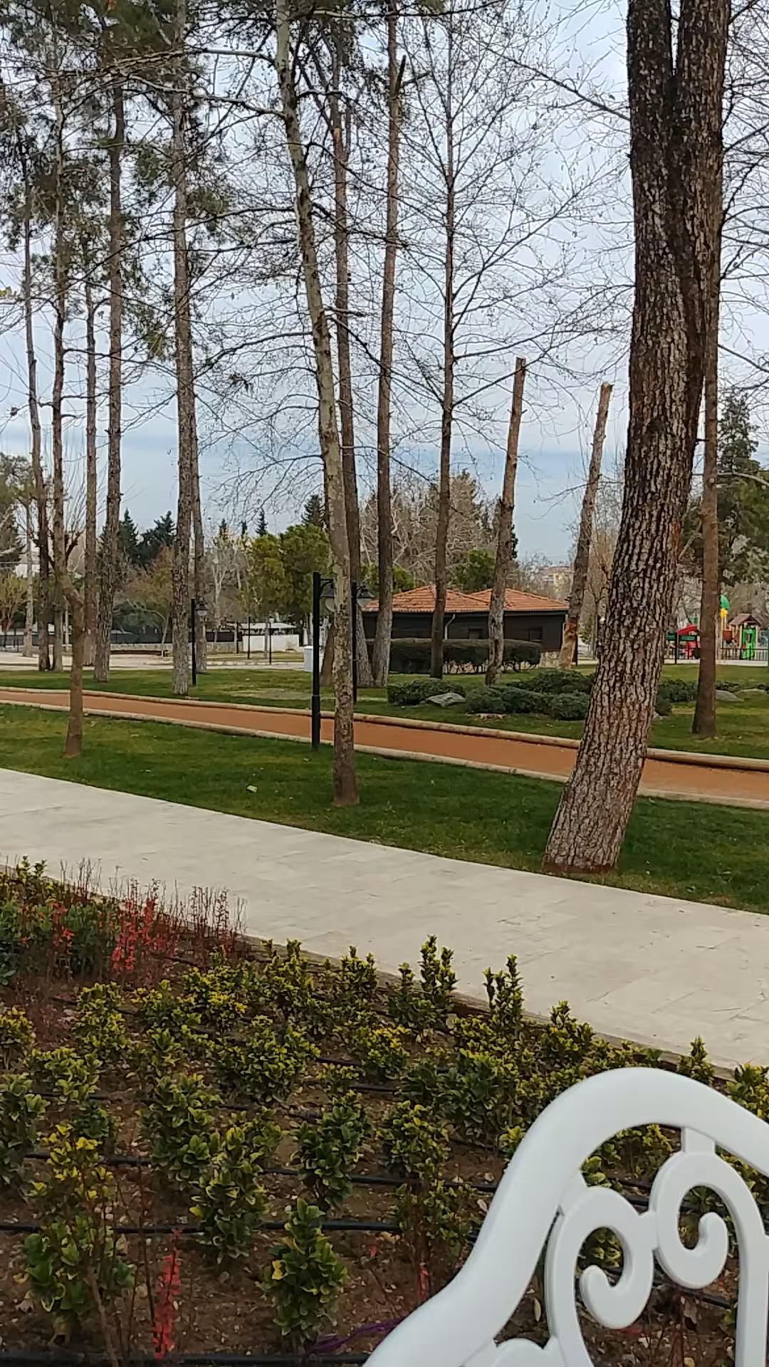 Olimpik Yüzme Havuzu — Yüzme Havuzları, Pamukkale · fotoğraf 4