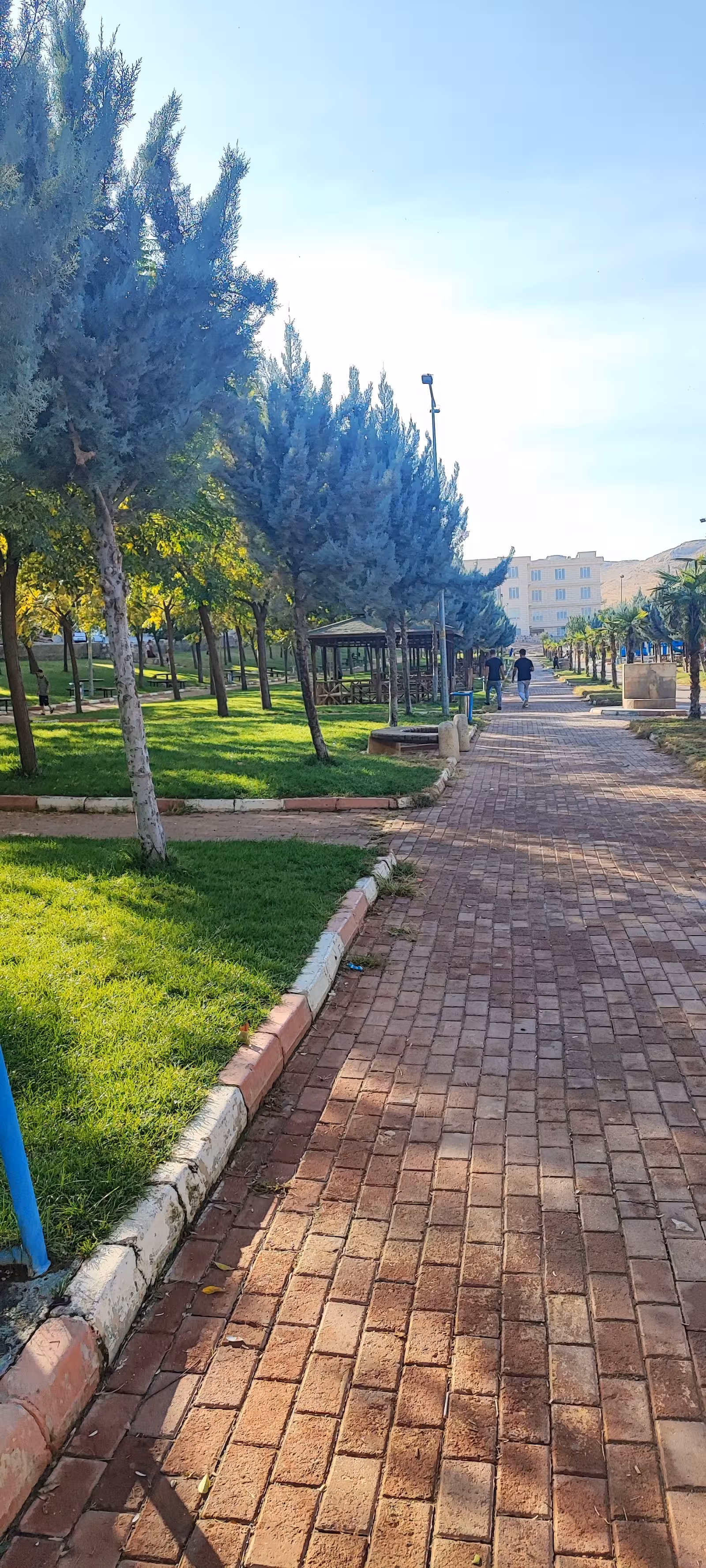 EYYÜBİYE BELEDİYESİ EYYÜP CENAP GÜLPINAR YÜZME HAVUZU — Yüzme Havuzları, Eyyübiye · fotoğraf 4