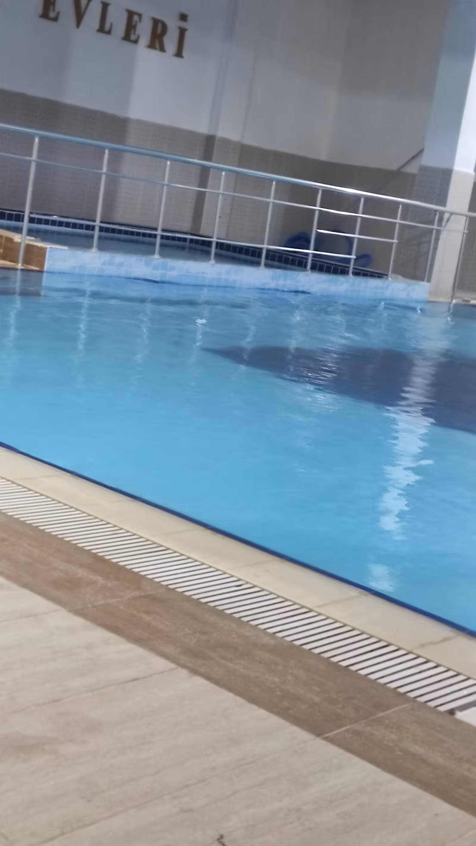 Şanlıurfa Liman Kadın Yüzme Okulu — Yüzme Havuzları, Karaköprü · fotoğraf 5