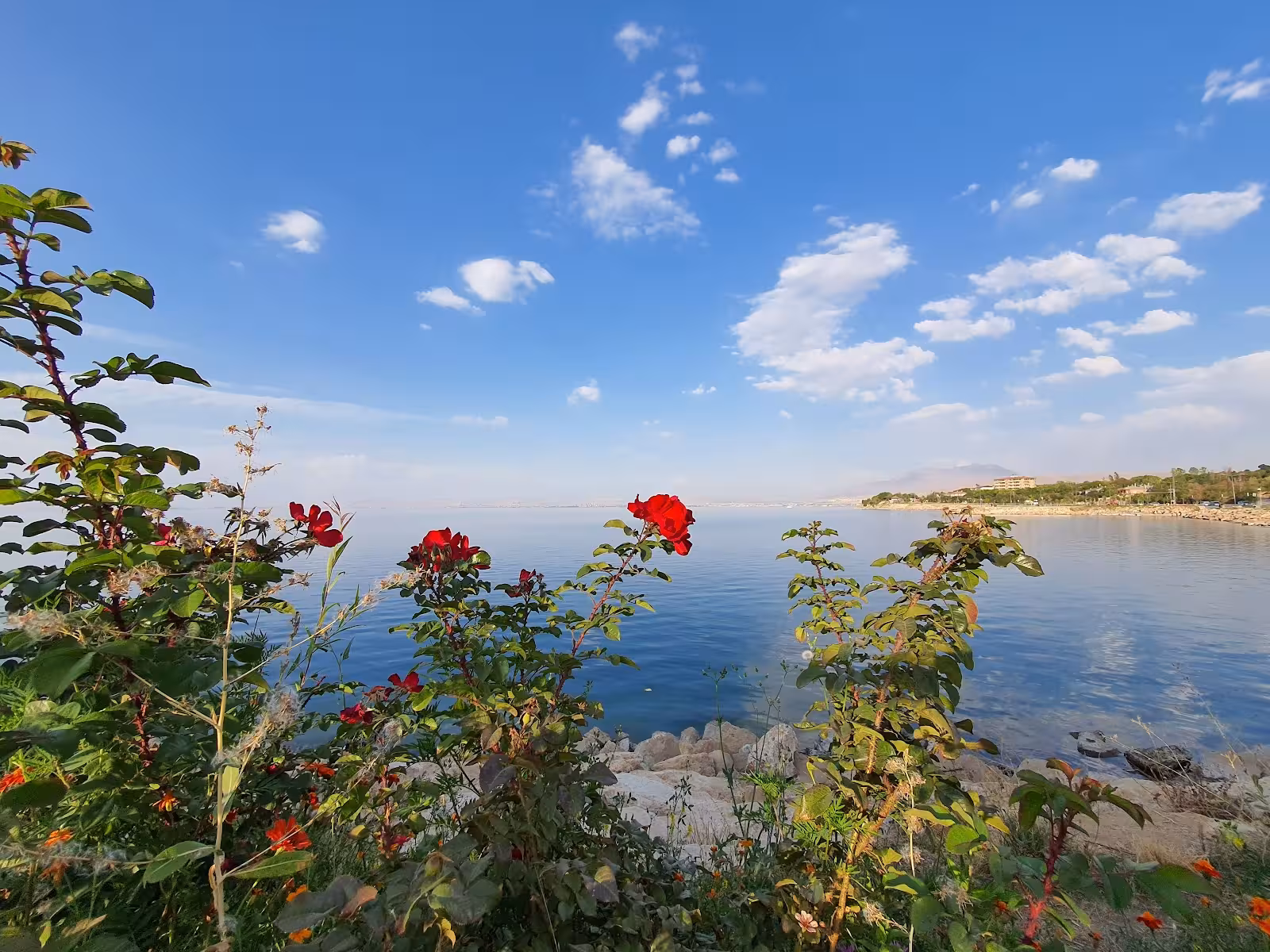 Dedeman Van Aqua Park — Yüzme Havuzları, Edremit · fotoğraf 5