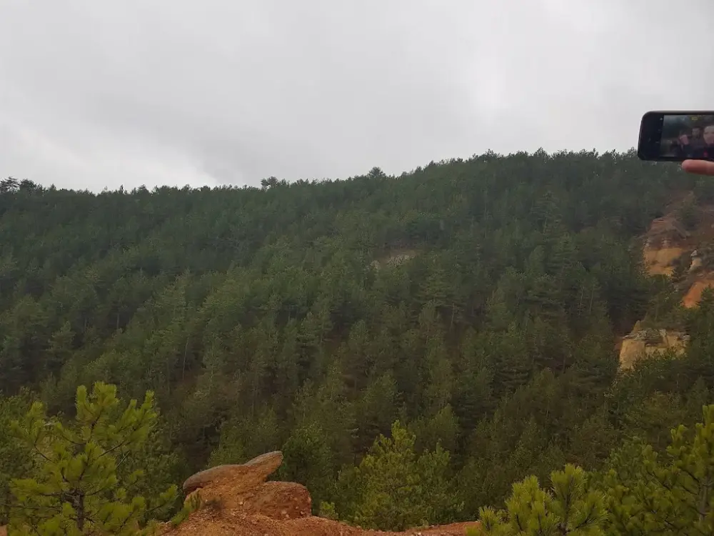 Havuzlu Park — Yüzme Havuzları, Merkez · fotoğraf 2