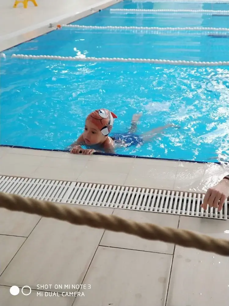 Karşıyaka Belediyesi Yüzme Havuzu — Yüzme Havuzları, Karşıyaka · fotoğraf 4