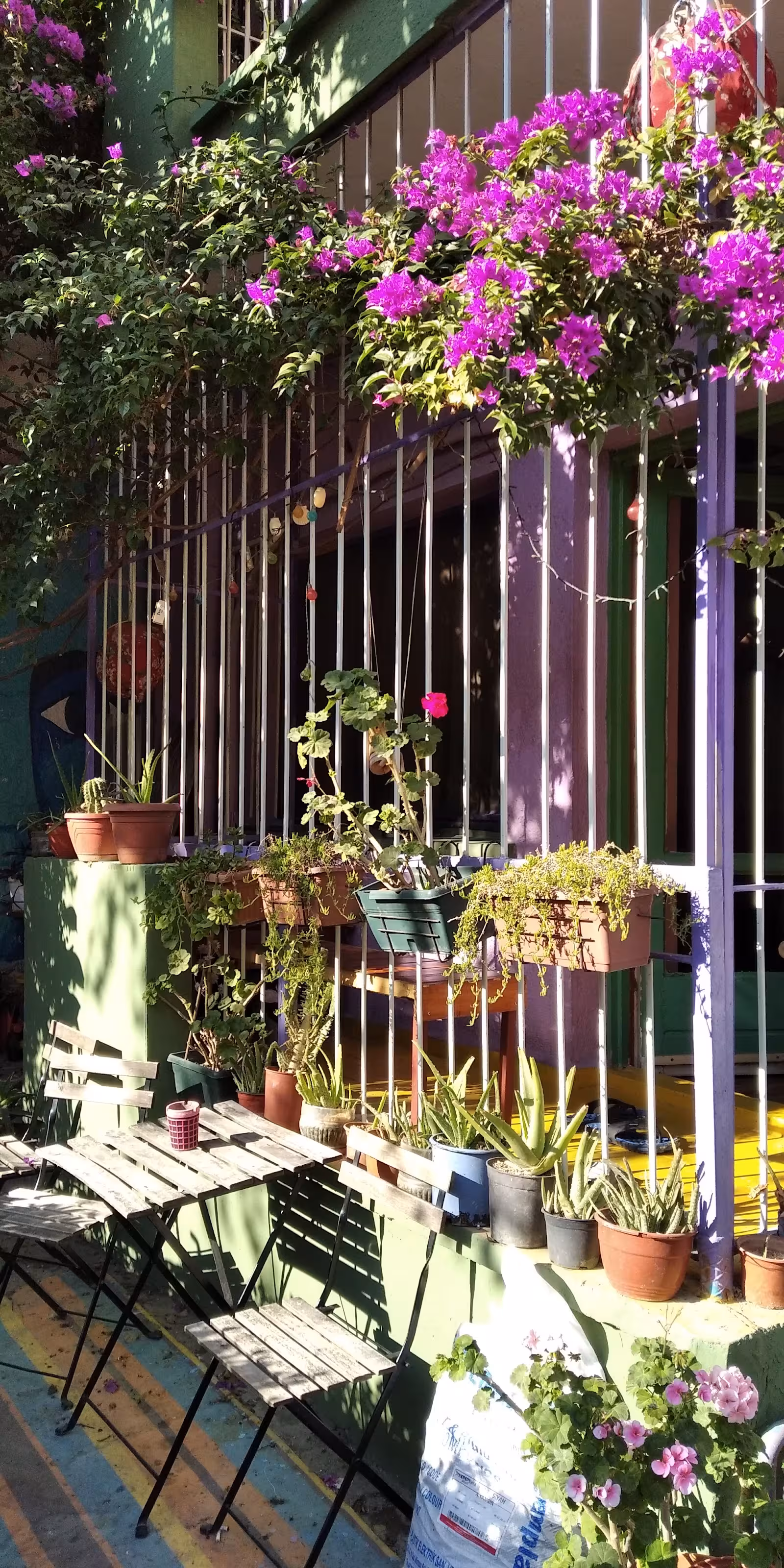 Shantihome Hostel İzmir — Pansiyonlar, Konak · fotoğraf 1