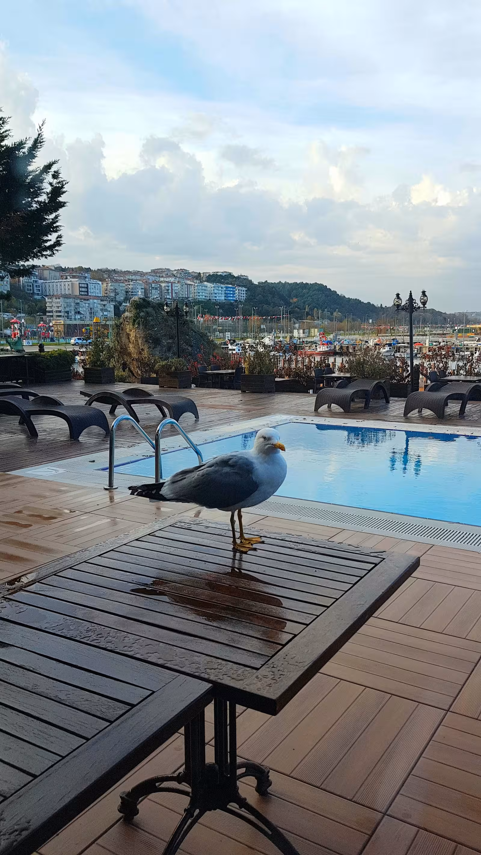 Phellos Suites — Tatil Köyleri, Ümraniye · fotoğraf 2