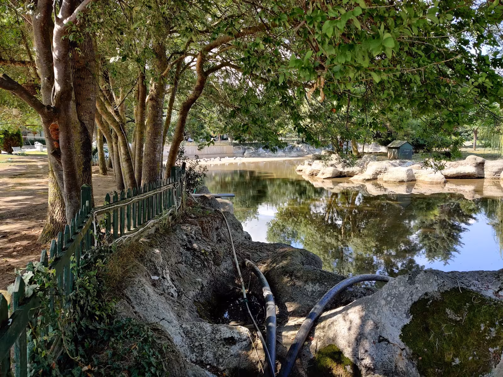 Doğa Tatil Köyü — Tatil Köyleri, Şile · fotoğraf 5