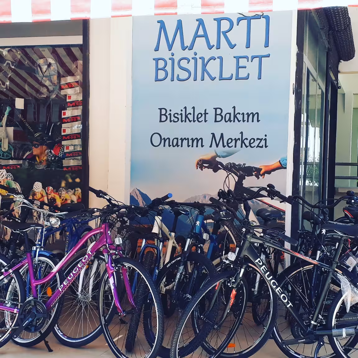 Martı Bisiklet — Bisiklet · fotoğraf 3