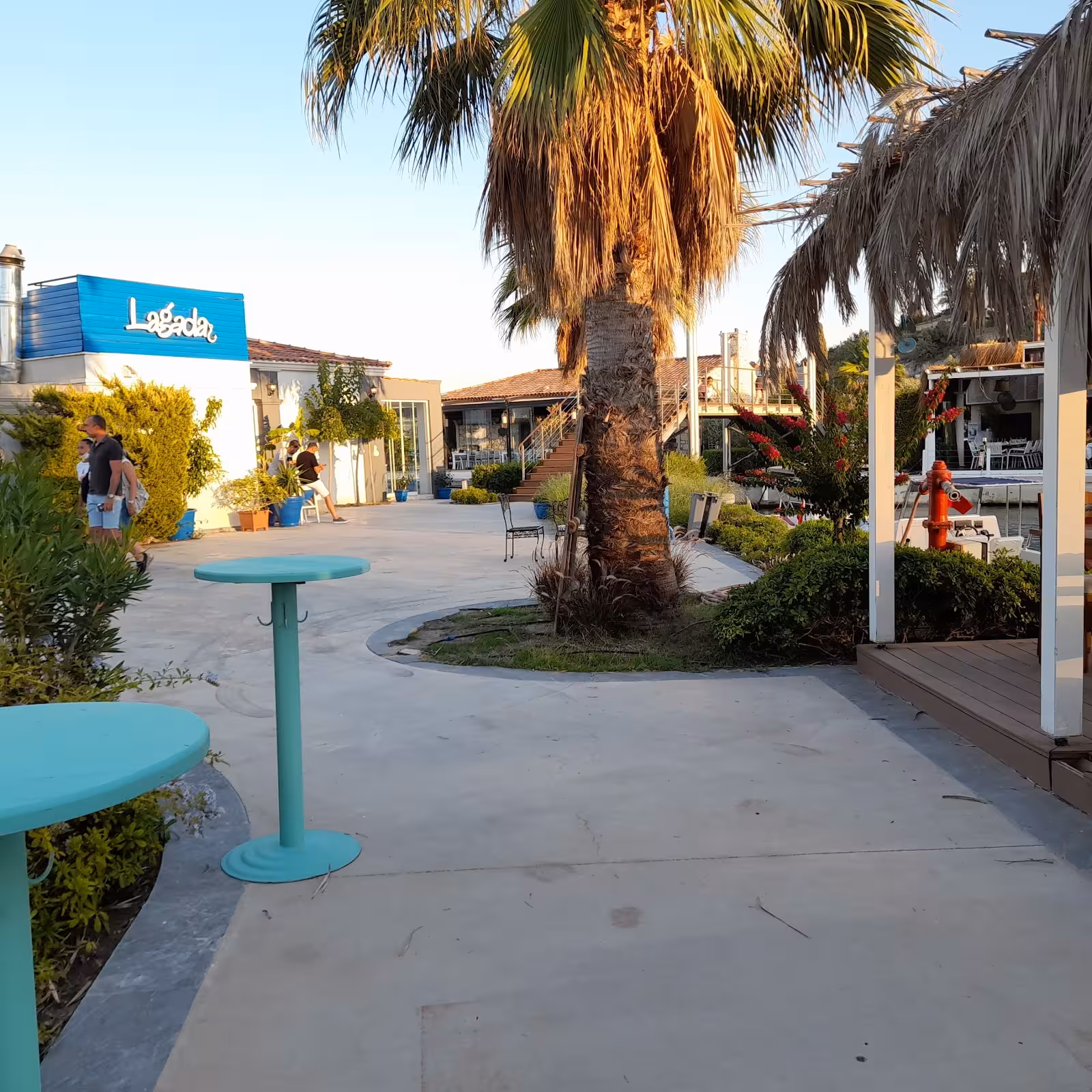 Tektekçi Mutfak Çeşme — Akdeniz mutfağı, Çeşme · fotoğraf 3