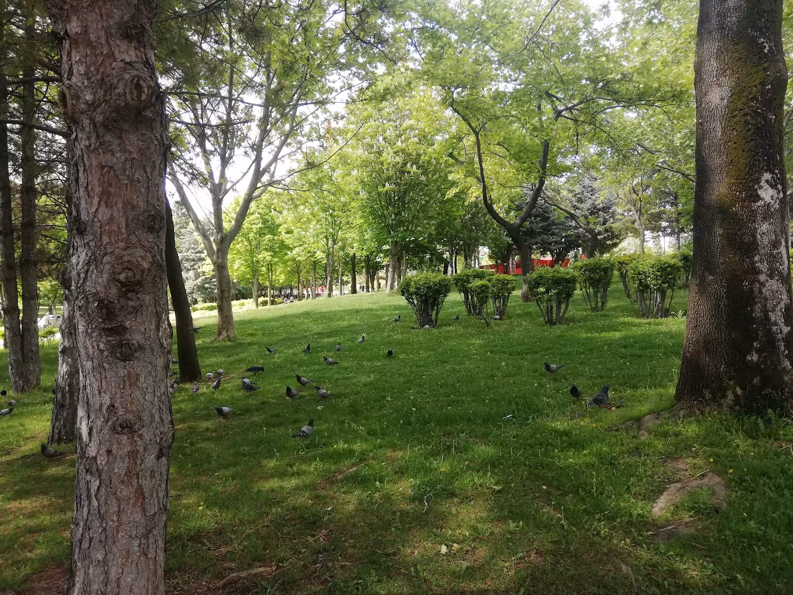 Altınpark fuar alanı — Fuar Alanları, Altındağ · fotoğraf 4