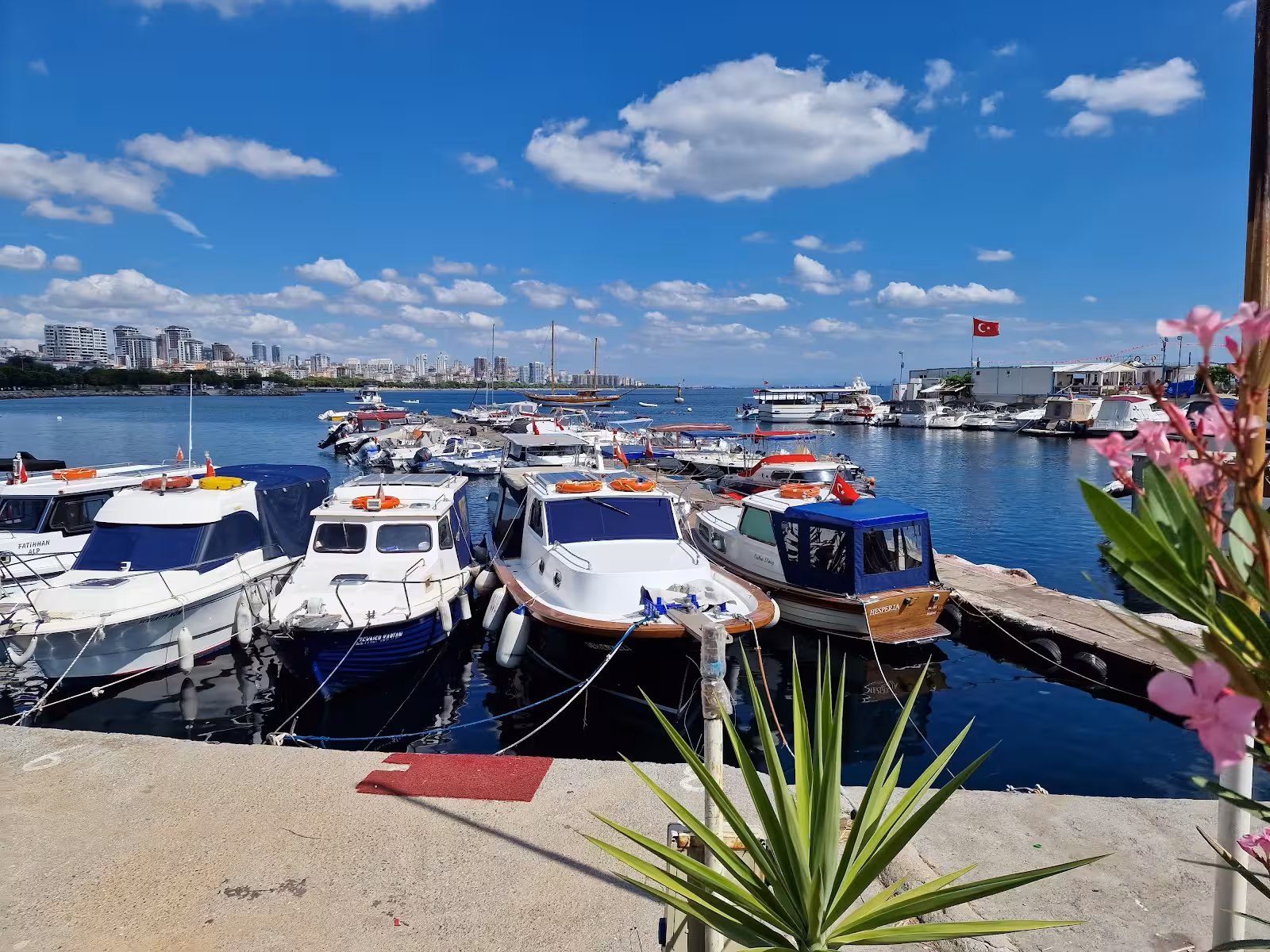 Dragos Limanı — Limanlar, Kartal · fotoğraf 1