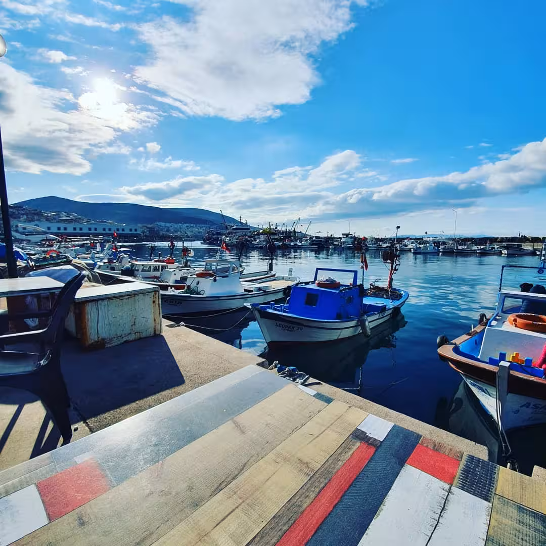Dikili Limanı — Limanlar, Dikili · fotoğraf 2