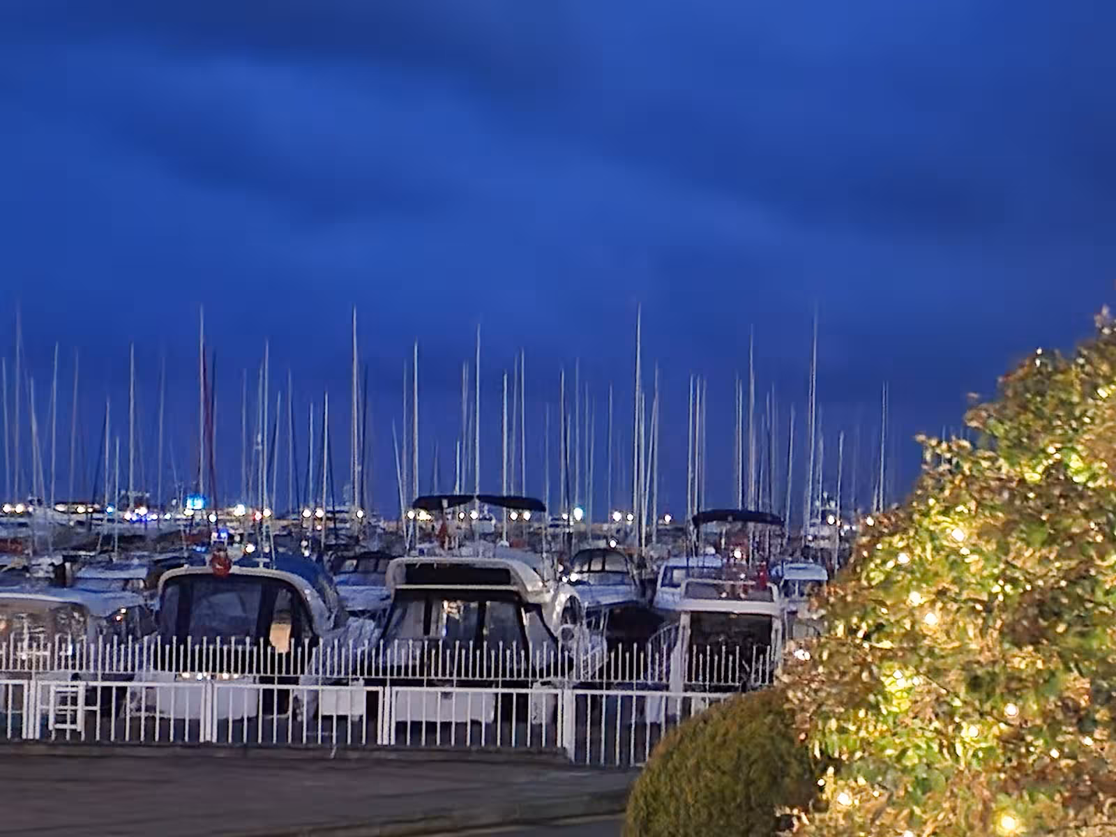 Setur Kalamış & Fenerbahçe Marina — Marinalar, Kadıköy · fotoğraf 5