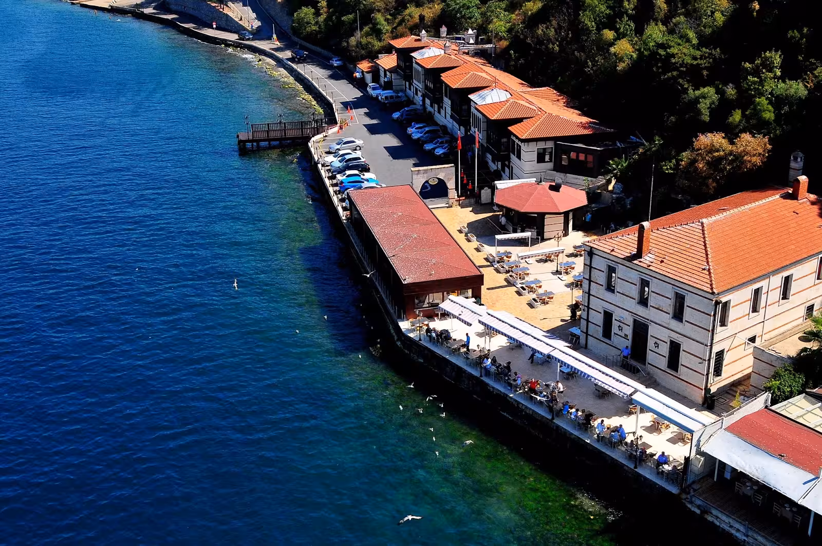 İBB Beykoz Sahil Sosyal Tesisleri — Dinlenme Tesisleri, Beykoz · fotoğraf 4