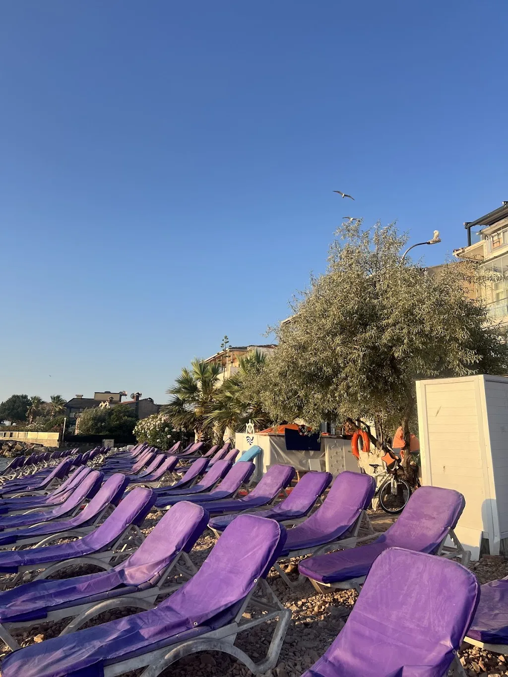Ayka Beach — Yüzme Havuzları, Adalar · fotoğraf 1