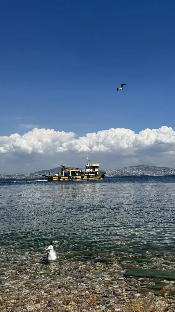 Ayka Beach — Yüzme Havuzları, Adalar · fotoğraf 2