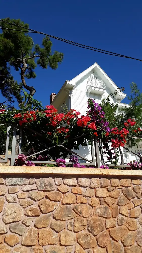 Villa Manolya (Eski Türk Mektebi) — Yüzme Havuzları, Adalar · fotoğraf 4