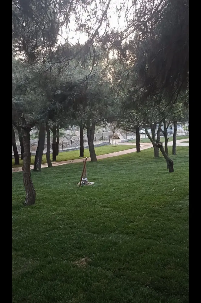 Bolluca Kapalı Yüzme Havuzu, Spor ve Yaşam Parkı — Yüzme Havuzları, Arnavutköy · fotoğraf 2