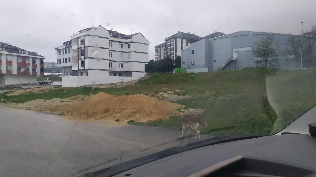 Arnavutköy Belediyesi Sporla Sağlıkı Yaşam Mer. — Yüzme Havuzları, Arnavutköy · fotoğraf 1