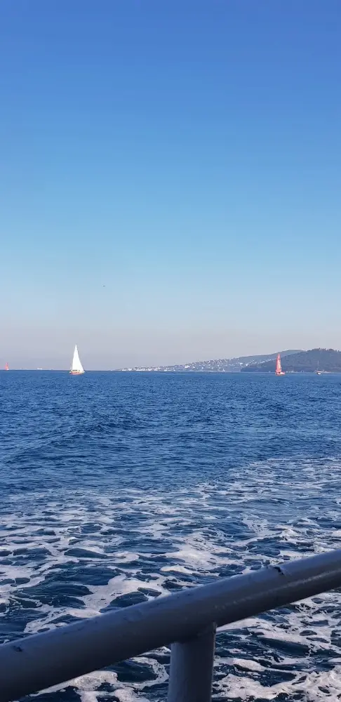 Heybeliada Su Sporları Kulübü Ataşehir Yüzme — Yüzme Havuzları, Ataşehir · fotoğraf 3