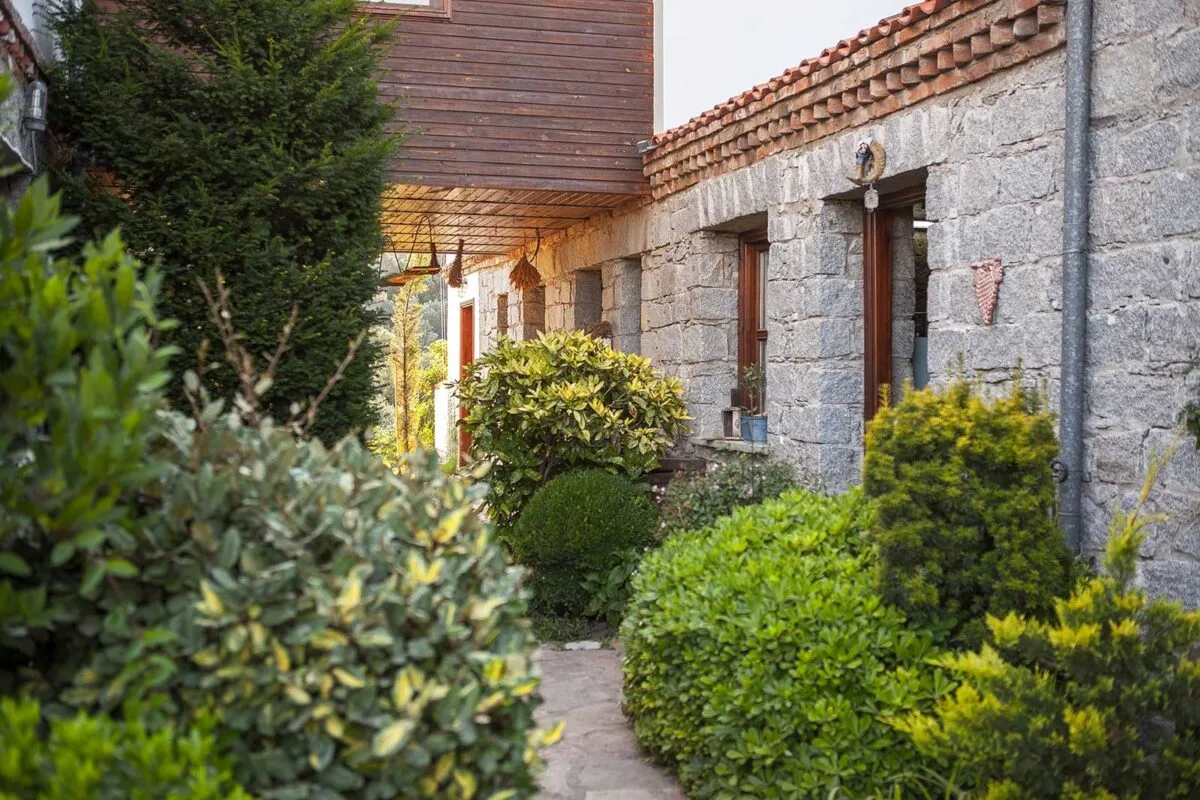 Zeytinbağı Restaurant Edremit — Akdeniz mutfağı, Edremit · fotoğraf 4