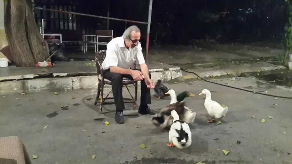 İçerenköy Spor Tesisi İnşaatı — Yüzme Havuzları, Ataşehir · fotoğraf 4
