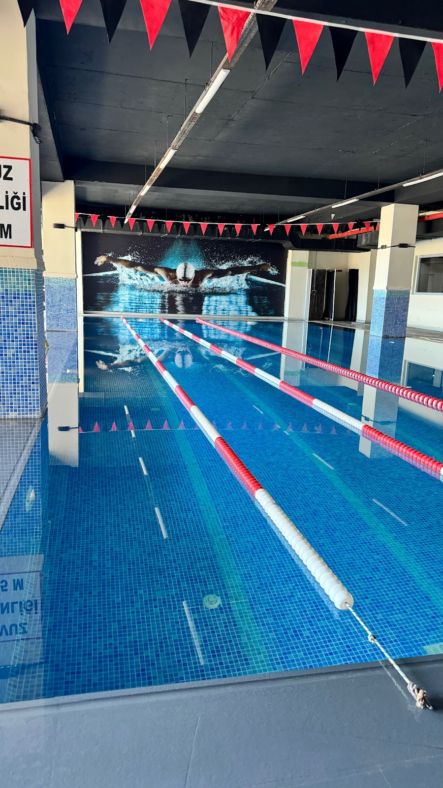 Vega Yüzme Kursu