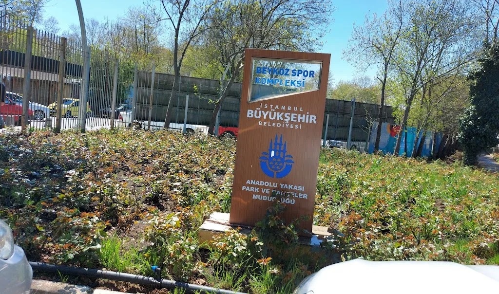İstanbul Büyükşehir Belediyesi Beykoz Spor Kompleksi — Yüzme Havuzları, Beykoz · fotoğraf 1
