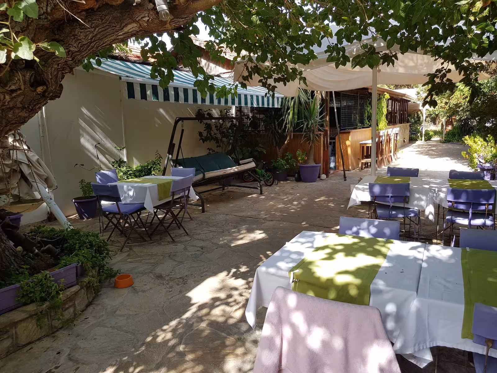 Le Jardin De Semra,Datça — Akdeniz mutfağı, Datça · fotoğraf 4