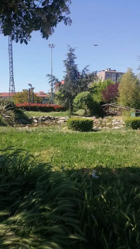 Kağıthane Hamidiye Sosyal Tesisleri — Yüzme Havuzları, Kağıthane · fotoğraf 4
