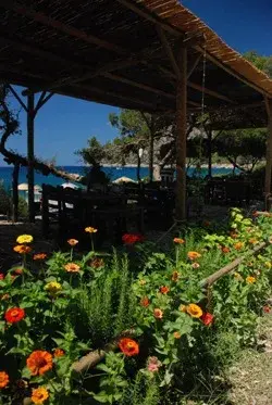 Hoppala Restoran Datça — Akdeniz mutfağı, Datça · fotoğraf 4