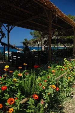 Hoppala Restoran Datça