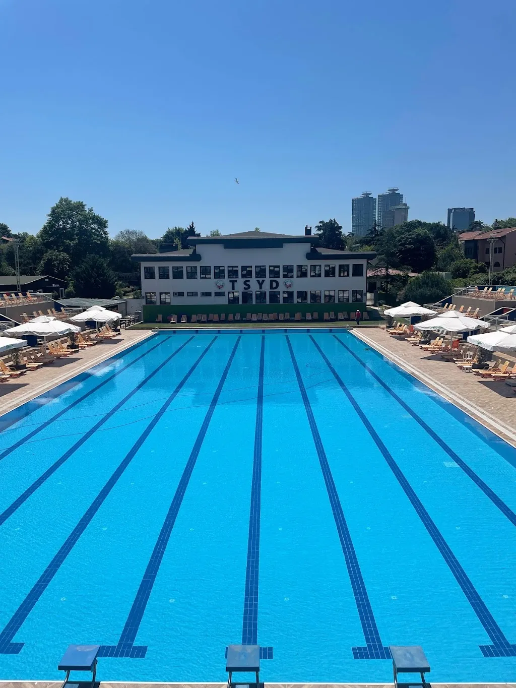 Türkiye Spor Yazarları Derneği — Yüzme Havuzları, Beşiktaş · fotoğraf 1